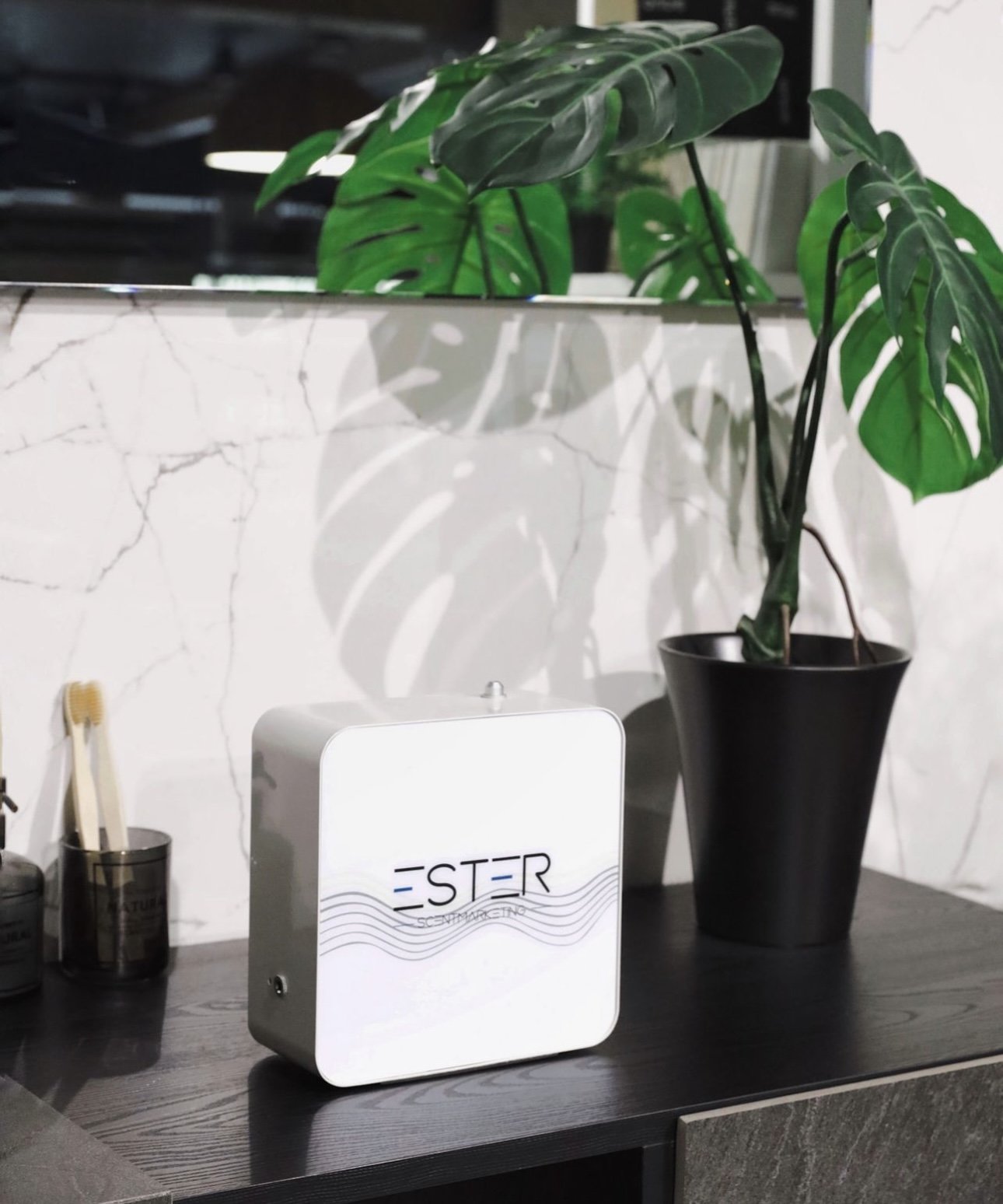 Aroma diffuser business-STR 100