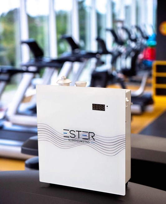 Aroma diffuser business-STR 100